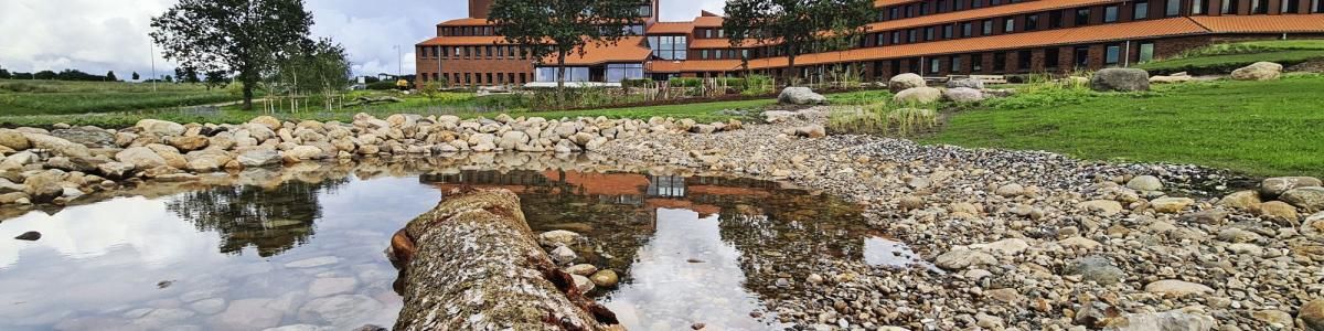 Vand i Hedeselskabets biodiversitetspark