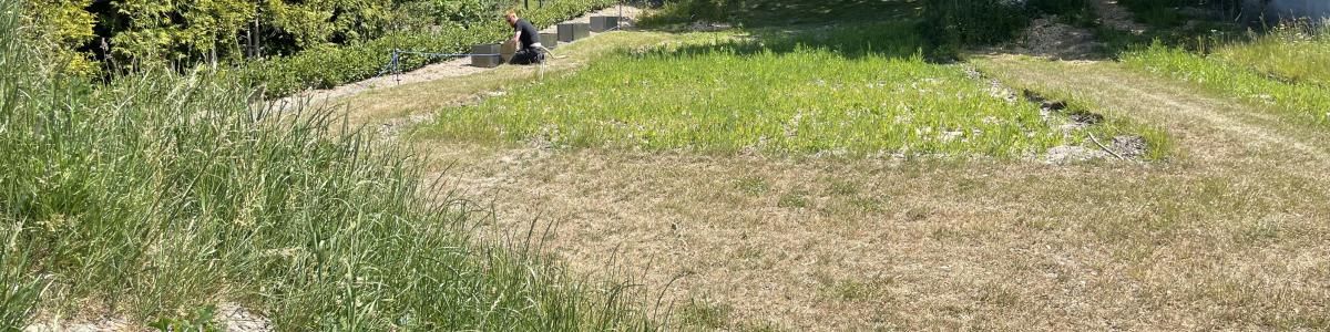 Biodiversitetshaven Mellerup Friskole