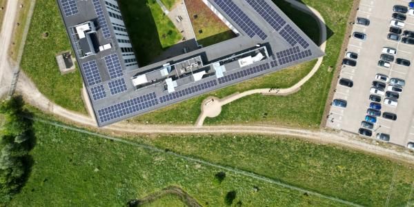 Bynær biodiversitet - boost den lokale naturs mangfoldighed