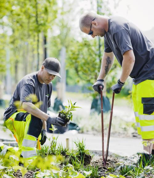 Service handel og anlæg