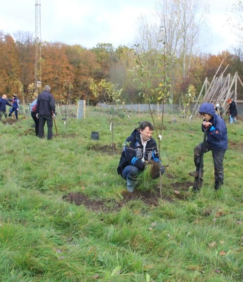 Blovstrød_plantning2000