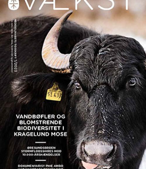 FORSIDE VÆKST 1-2023.NYNYjpg.jpg