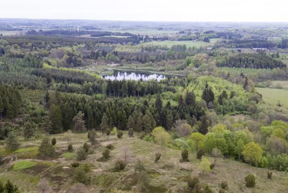 Naturområde - skovområde med sø