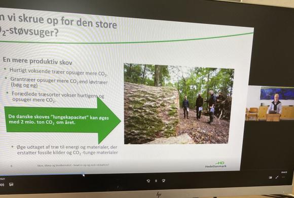 Skærmbillede fra det digitale fyraftensmøde