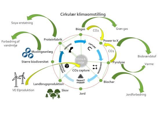 Illustration af cirkulær klimaomstilling