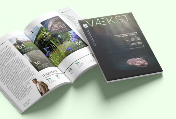 VÆKST 01-25