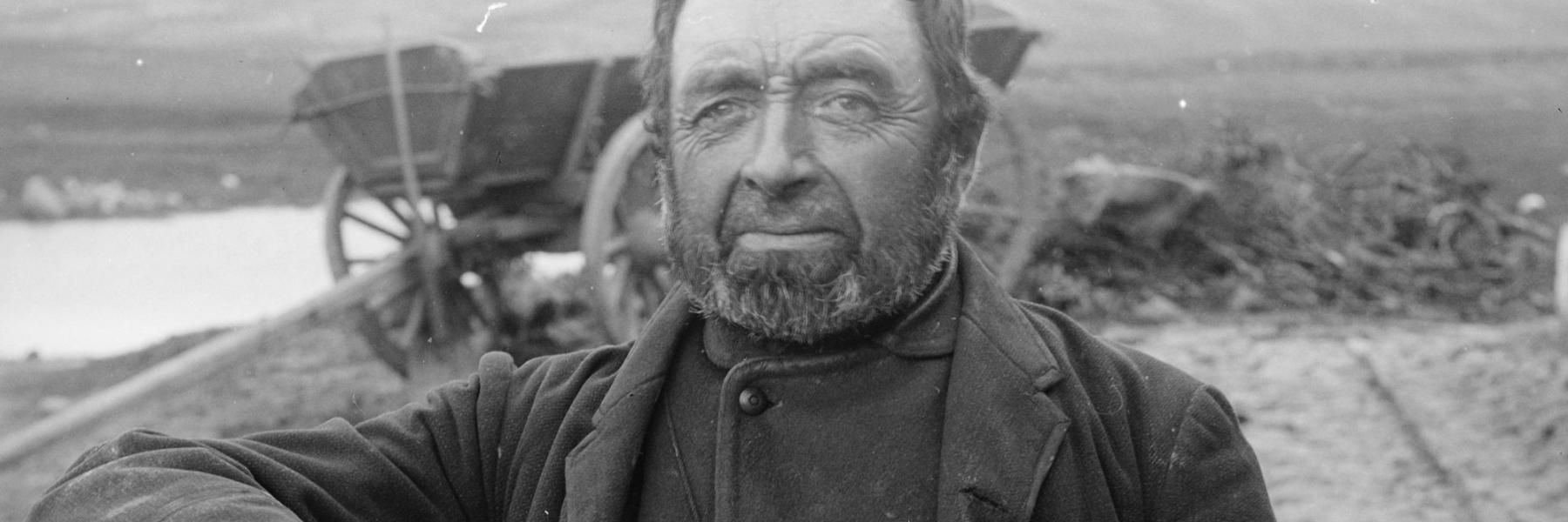 Hedebonde 2000