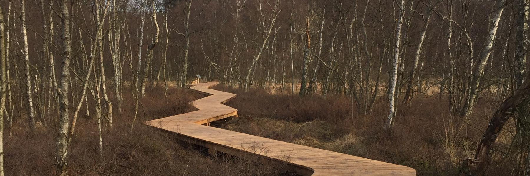 Broad-walk_Bøllemosen