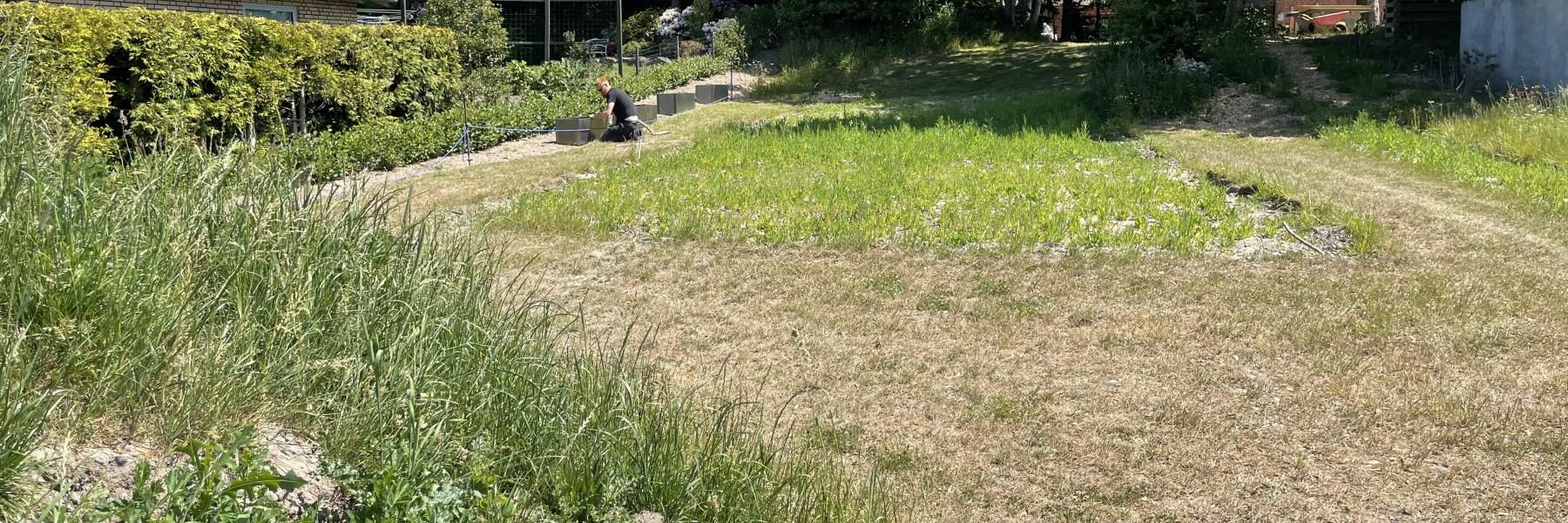 Biodiversitetshaven Mellerup Friskole