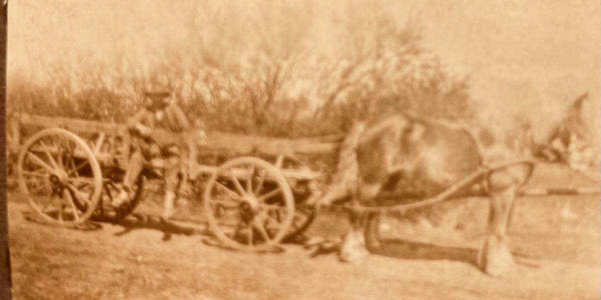 Stivvogn - Egons historie - Kongenshus Mindepark