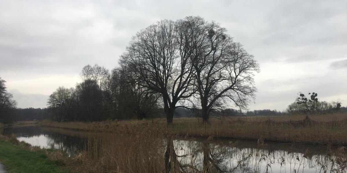 Finowkanal-bei-Eberswalde_STFI.jpg