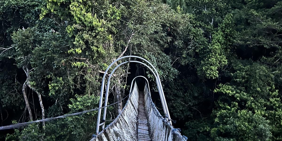 hængebro i regnskoven i Amazonas, Peru.jpg
