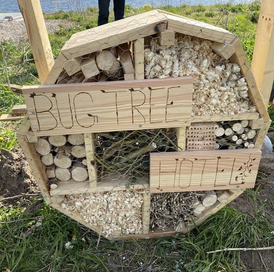 Bug-tree-hotel_Klokkerholm